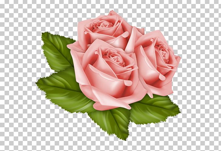 Garden Roses Cabbage Rose Friday Week Cut Flowers PNG, Clipart, Akhir Pekan, Bagira, Birthday, Cut Flowers, Floral Design Free PNG Download