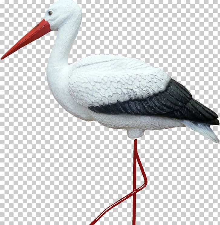 White Stork Sadovyye Figury Artikel АИСТ Price PNG, Clipart, Aist, Artikel, Beak, Bird, Ciconia Free PNG Download