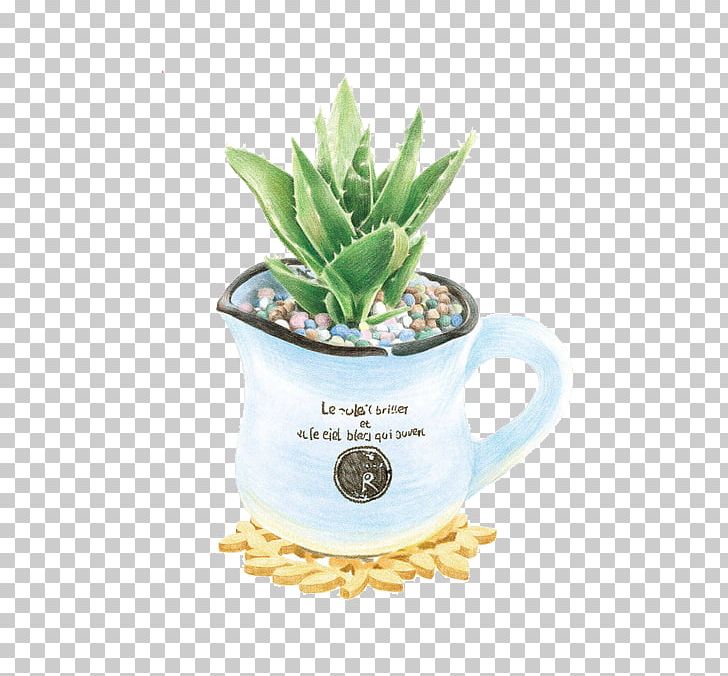 Aloe Vera PNG, Clipart, Adobe Illustrator, Aloe, Aloe Vector, Aloe Vera Pulp 12 0 1, Ananas Free PNG Download