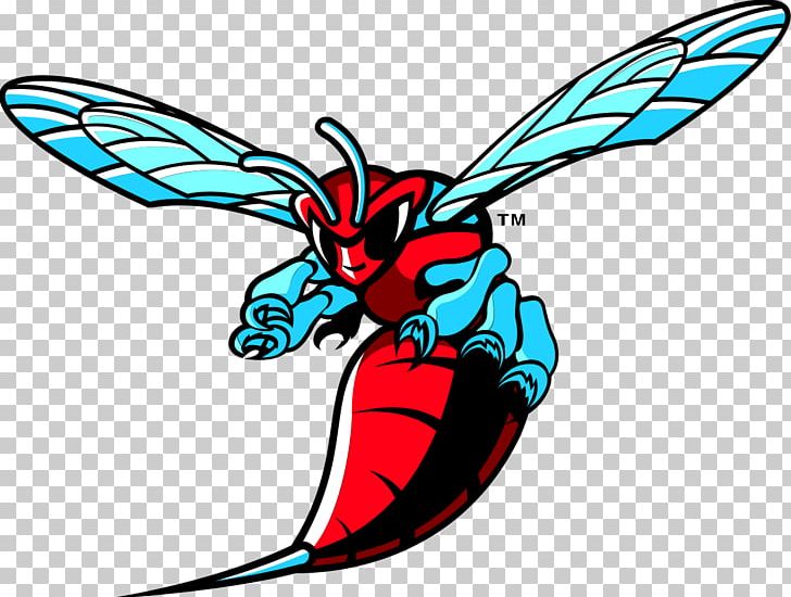 Delaware State University Delaware State Hornets Men's Basketball Delaware State Hornets Football Delaware State Hornets Women's Basketball NCAA Men's Division I Basketball Tournament PNG, Clipart, Artwork, Baseball, Butterfly, College, Dover Free PNG Download