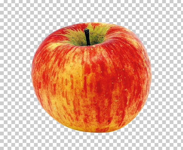 McIntosh Red Topaz Apple Juice Organic Food PNG, Clipart, Apple, Apple Juice, Apples, Diet Food, Food Free PNG Download