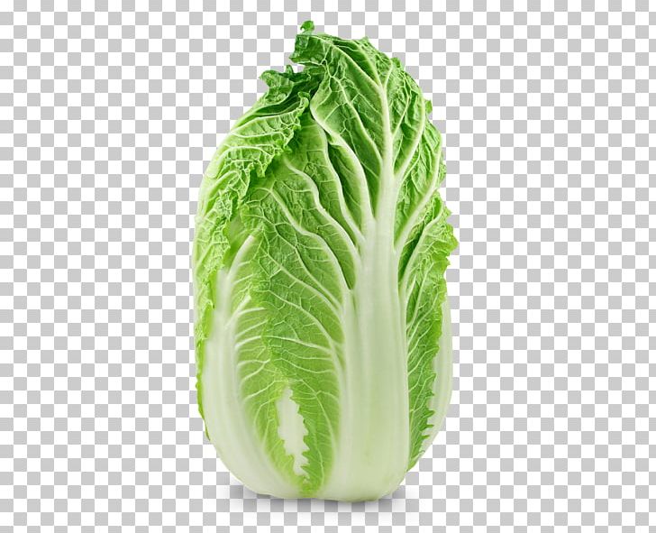 Chard Chinese Cuisine Savoy Cabbage Choy Sum PNG, Clipart, Bok Choy, Cabbage, Chard, Chinese , Chinese Cuisine Free PNG Download