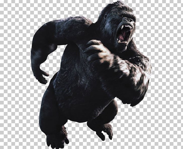 New York City King Kong Godzilla YouTube PNG, Clipart, Chimpanzee, Common Chimpanzee, Film, Fur, Godzilla Free PNG Download