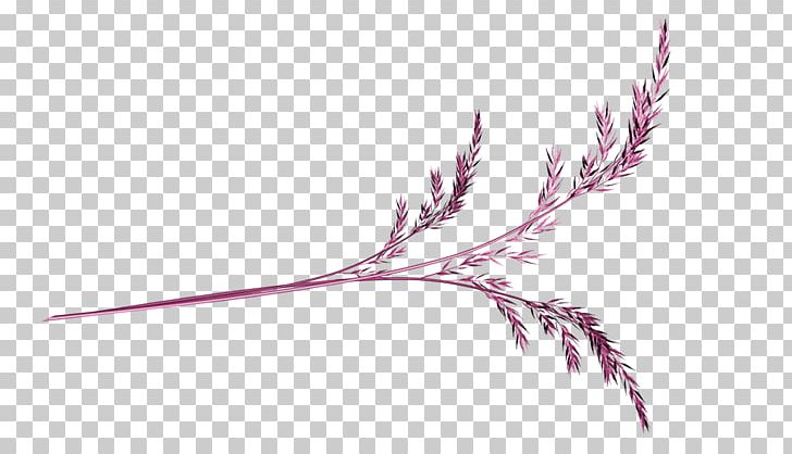 Purple Plum Blossom PNG, Clipart, Blog, Branch, Download, Euclidean Vector, Feather Free PNG Download
