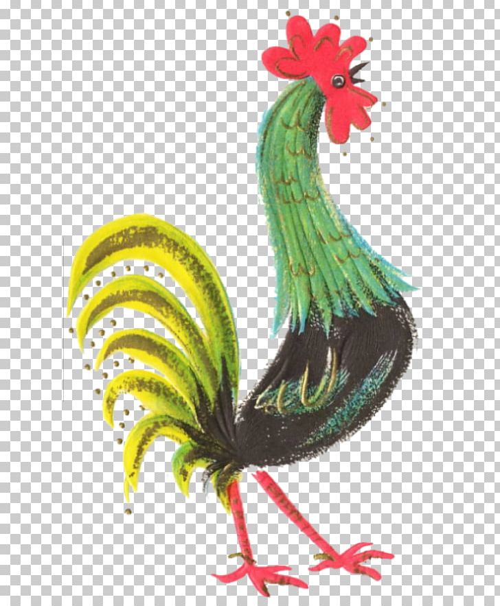 Rooster Chicken Hen Kifaranga Feather PNG, Clipart, Animals, Beak, Bird, Chicken, Chicken M Free PNG Download