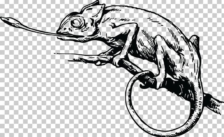 Chameleons Singapore Lizard PNG, Clipart, Amphibian, Animals, Artwork, Black And White, Carnivoran Free PNG Download