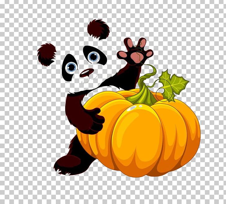 Giant Panda Bear Red Panda PNG, Clipart, Animal, Animals, Baby Panda, Calabaza, Candy Pumpkin Free PNG Download