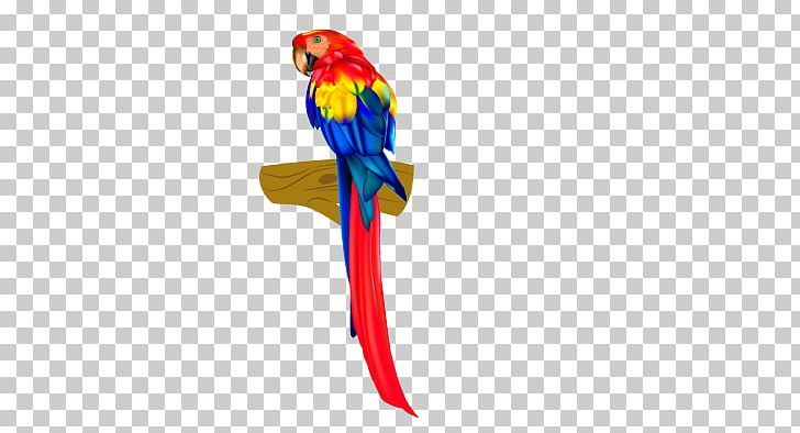Parrot Lovebird PNG, Clipart, Animals, Beak, Bird, Birdcage, Drawing Free PNG Download