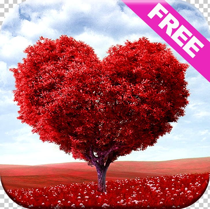 Valentine's Day February 14 Gift Propose Day National Hugging Day PNG, Clipart, 8k Resolution, 1080p, 2160p, Education Science, February 14 Free PNG Download