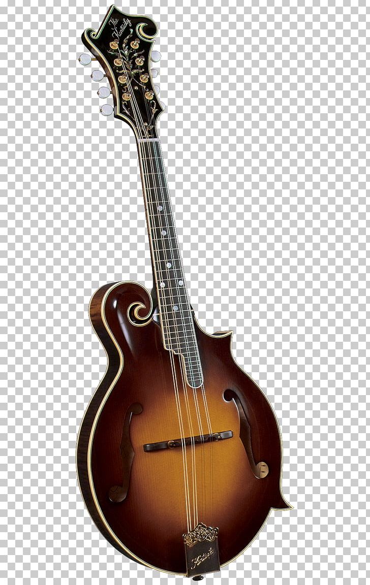 Amazon.com Mandolin Musical Instruments Bluegrass F-lyuk PNG, Clipart, Acoustic Electric Guitar, Acoustic Guitar, Amazon, Guitar Accessory, Lute Free PNG Download