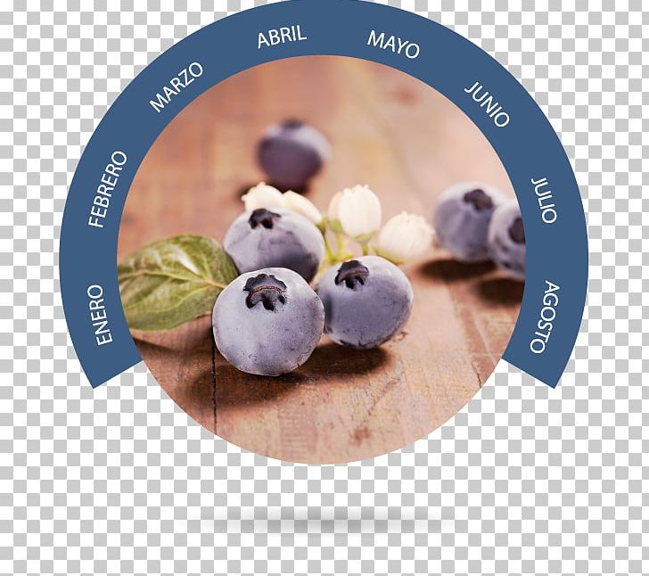 Bionest Blueberry Bilberry Almonte PNG, Clipart, Almonte, Berry, Bilberry, Blueberry, Ecology Free PNG Download