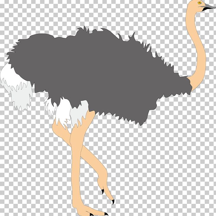 Common Ostrich Bird PNG, Clipart, Animals, Art, Beak, Big Man, Blog Free PNG Download