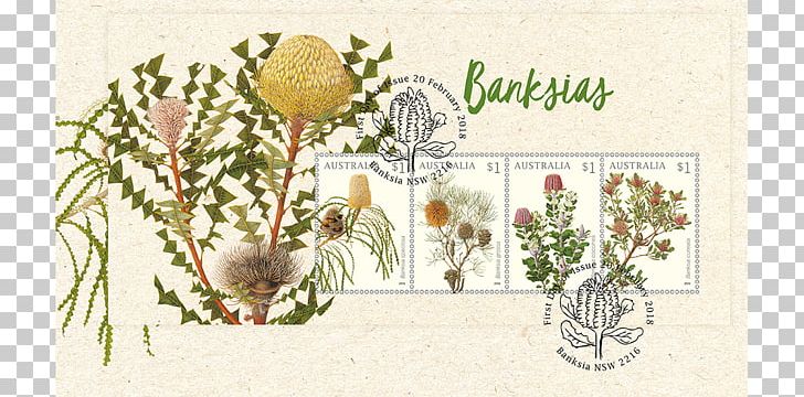 Floral Design Australia Postage Stamps Banksia Philately PNG, Clipart, Art, Australia, Australia Post, Australia Stamp, Banksia Free PNG Download