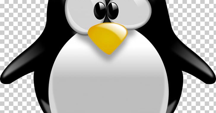 Penguin T-shirt Graphic Design PNG, Clipart, Beak, Bird, Drawing, Flightless Bird, Graphic Design Free PNG Download