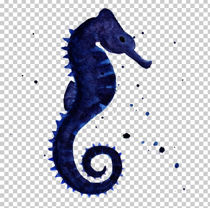 Seahorse Aquatic Animal Syngnathiformes PNG, Clipart, Animal, Animals, Aquatic Animal, Chesapeake Blue Crab, Computer Wallpaper Free PNG Download