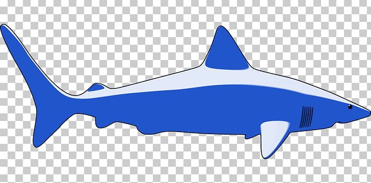 Shark PNG, Clipart, Aerospace Engineering, Air Travel, Animals, Blender, Blue Free PNG Download