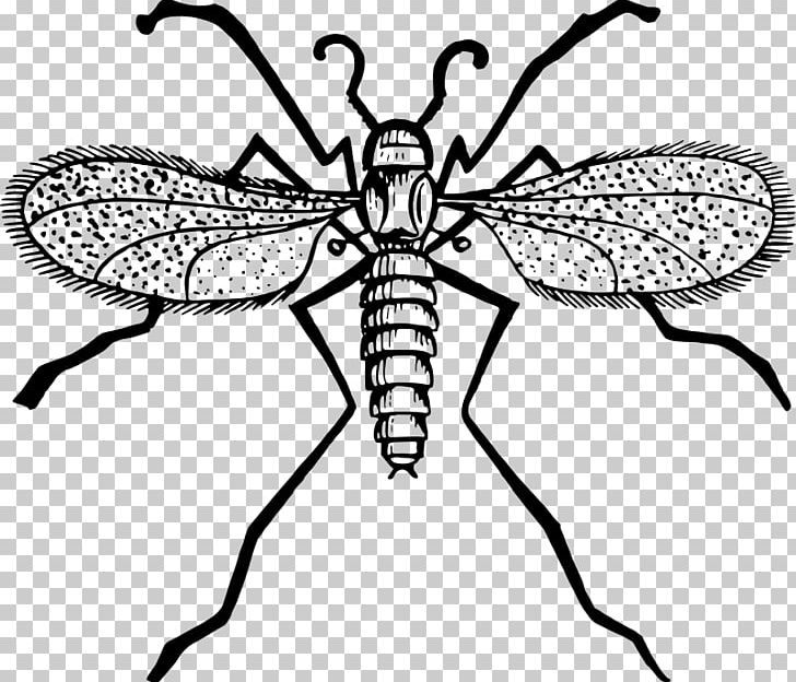 Fly Mosquito Gnat PNG, Clipart, Arthropod, Artwork, Black And White, Cartoon, Drawing Free PNG Download