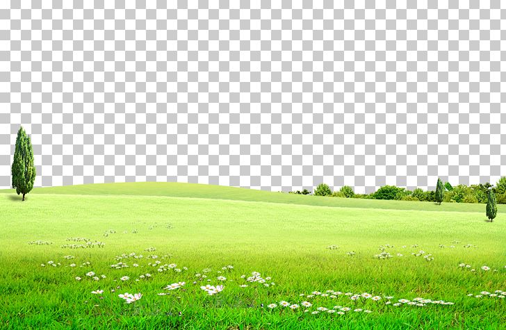 Background Green Meadow PNG, Clipart, Abstract, Blue, Color, Computer Wallpaper, Desktop Wallpaper Free PNG Download