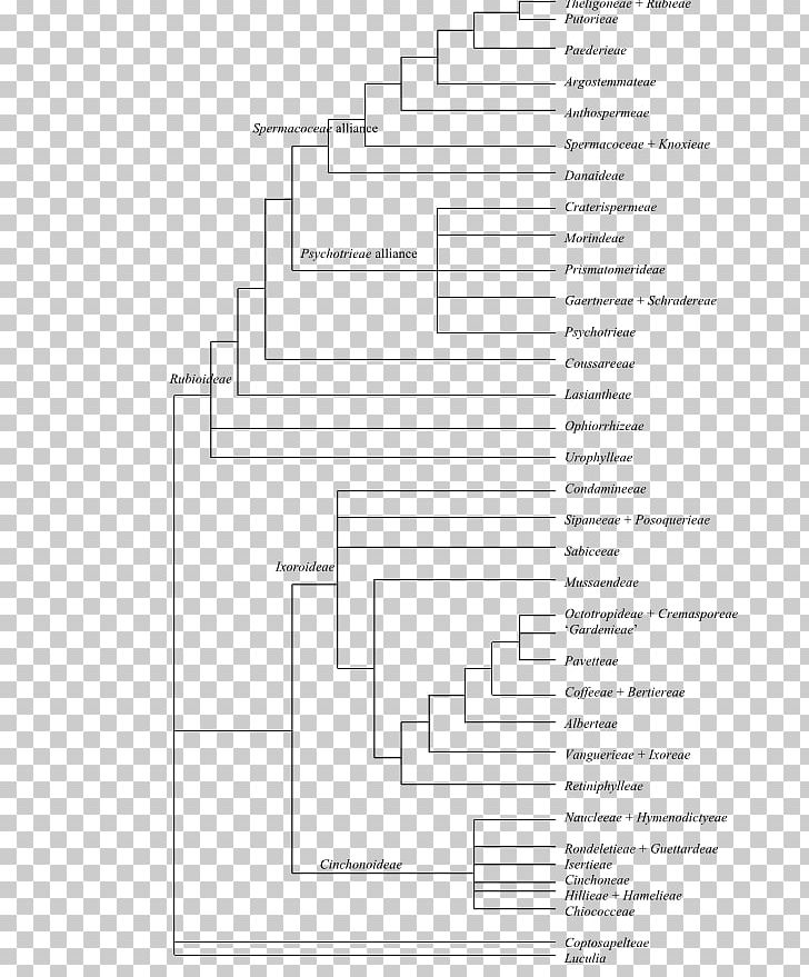 Phylogenetic Tree Phylogenetics Cladogram Fusarium Solani PNG, Clipart, Anatomy, Angle, Area, Asian Longhorned Beetle, Bayesian Inference Free PNG Download