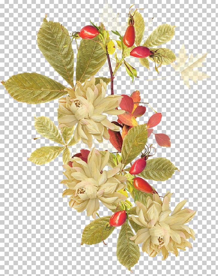 Flower Graphic Design PNG, Clipart, Blossom, Branch, Designer, Floral Design, Flower Free PNG Download