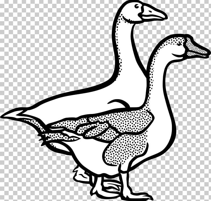 Goose Graphics Drawing Line Art PNG, Clipart, Animal Farm, Animal Figure, Animals, Art, Artwork Free PNG Download