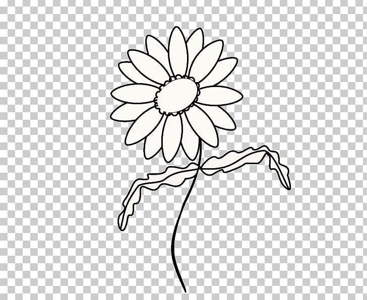 Drawing Common Daisy Line Art Sketch PNG, Clipart, Area, Art, Artwork, Black, Black And White Free PNG Download
