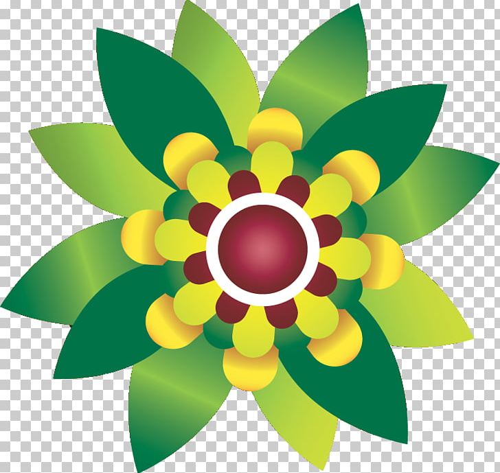 Floral Design Flower Adobe Photoshop Green PNG, Clipart, Circle, Color, Creativity, Flora, Floral Design Free PNG Download