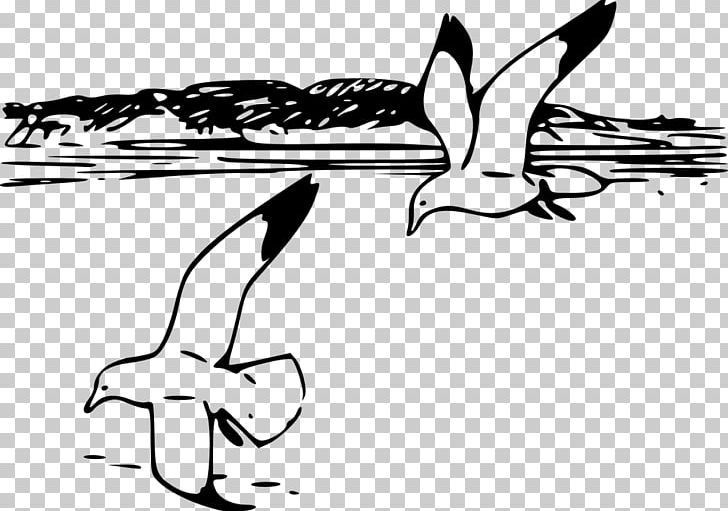 Gulls Shore PNG, Clipart, Angle, Area, Arm, Art, Artwork Free PNG Download