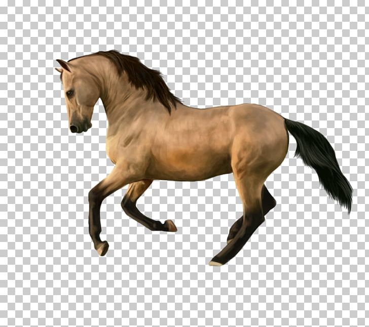 Mane Mustang Stallion Mare Pony PNG, Clipart, Animal Figure, Bay, Bisou, Bit, Bridle Free PNG Download