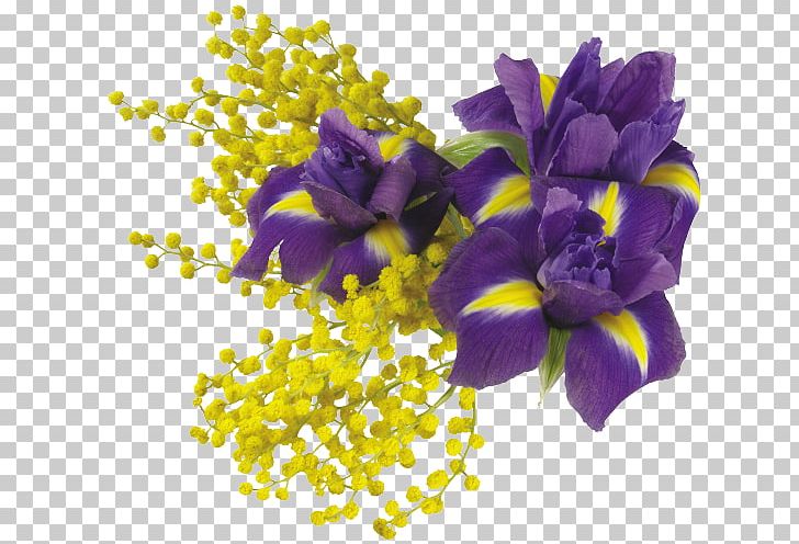 Dentistry Sunday Before Lent Holiday Daytime PNG, Clipart, Animaatio, Ansichtkaart, Author, Cut Flowers, Dentistry Free PNG Download
