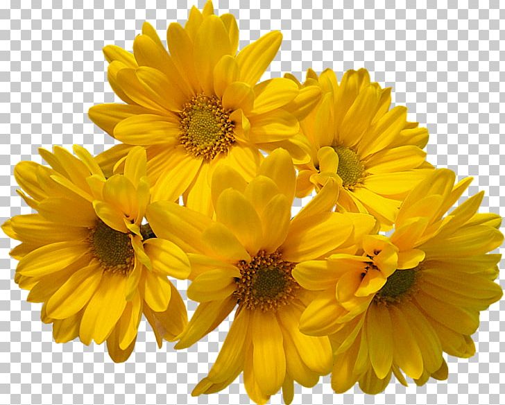 Flower Bouquet Yellow Common Daisy PNG, Clipart, Annual Plant, Blue, Blume, Calendula, Chrysanthemum Free PNG Download