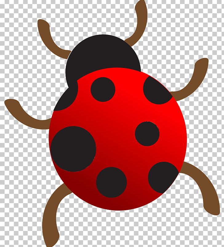 Ladybird Insect La Mariquita Coccinella Septempunctata PNG, Clipart, Decoration, Diagram, Download, Food, Hand Free PNG Download