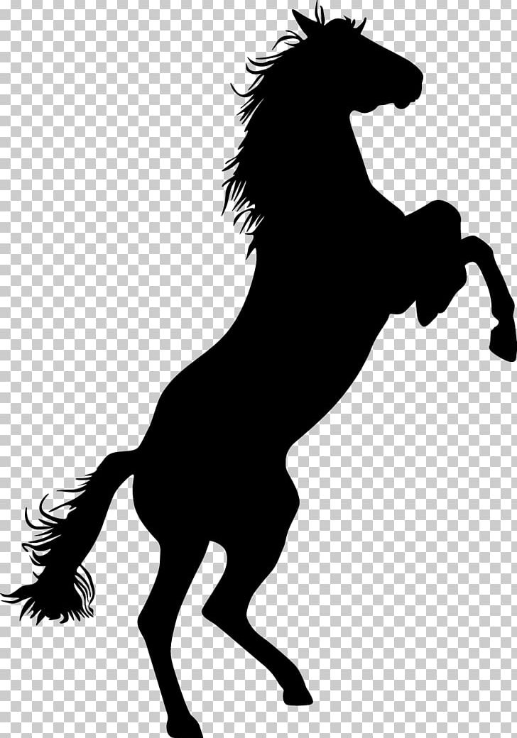 Mustang Standing Horse Bronco Equestrian PNG, Clipart, Animal, Animals, Bareback Riding, Bison, Carnivoran Free PNG Download