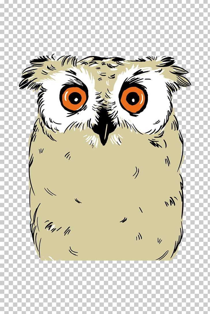 Owl Energy Drink Beer Fizzy Drinks PNG, Clipart, Alcoholic Drink, Animals, Beak, Beer, Bird Free PNG Download