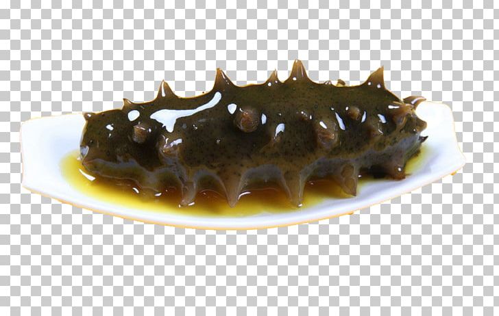 Sea Cucumber As Food Seafood PNG, Clipart, Black, Chinese Food Therapy, Cucumber, Cucumber Slices, Cucumber Vector Free PNG Download