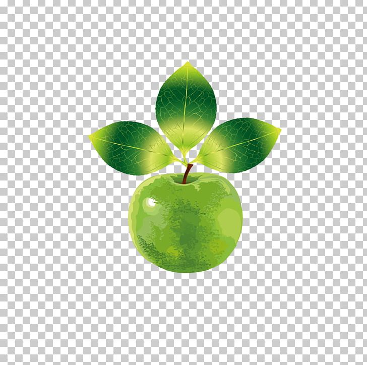 Fruit Apple PNG, Clipart, Apple, Apple Creative, Apple Fruit, Apple Logo, Background Green Free PNG Download