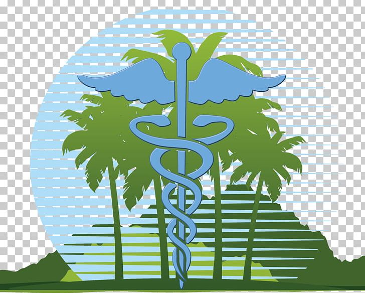 Health Care Medicine Clinic Hibiscus Tea Hospital PNG, Clipart, Allied Health Professions, Clinic, Energy, Flora, Graphic Design Free PNG Download
