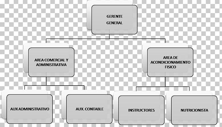 Organizational Chart Organizational Structure Fitness Centre Empresa PNG, Clipart, Angle, Communication, Corporation, Diagram, Document Free PNG Download