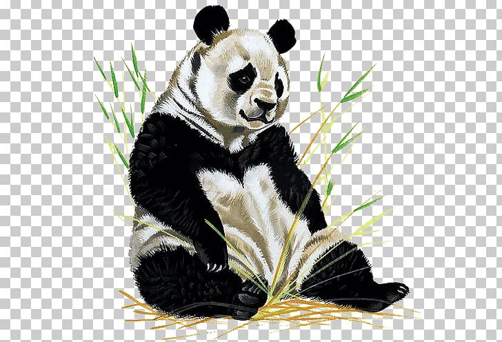 The Giant Panda Book Illustration Drawing Beijing Zoo PNG, Clipart, Ailuropoda, Animal, Art, Art Museum, Bear Free PNG Download