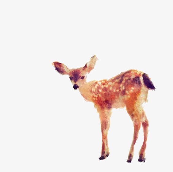 Watercolor Deer PNG, Clipart, Animal, Cute, Cute Little Deer, Deer, Deer Clipart Free PNG Download