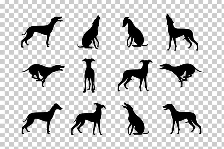 Whippet Greyhound Dobermann Great Dane Cane Corso PNG, Clipart, Animal, Black And White, Breed, Cane Corso, Carnivoran Free PNG Download