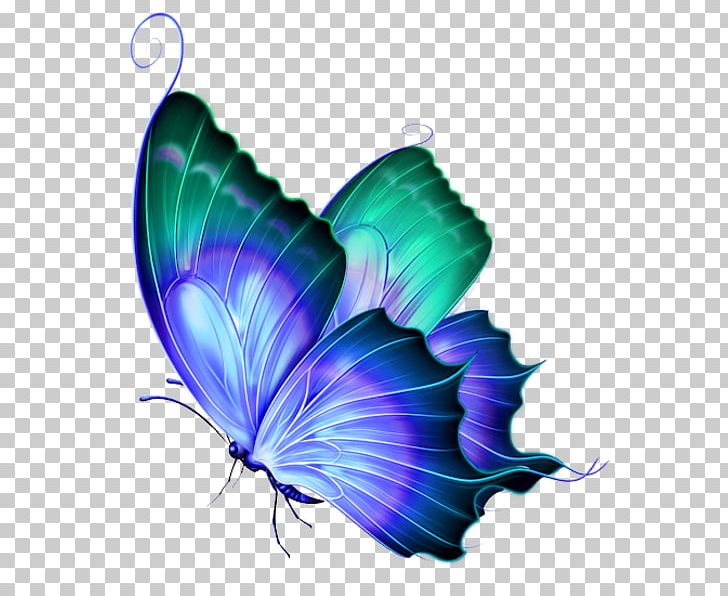 Butterfly PNG, Clipart, Arthropod, Blue, Bluegreen, Butterfly, Cdr Free PNG Download