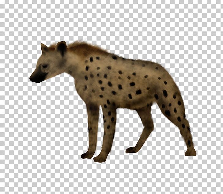Hyena Siberian Husky Cheetah Animal PNG, Clipart, Animal, Animal Figure, Animals, Animation, Carnivora Free PNG Download