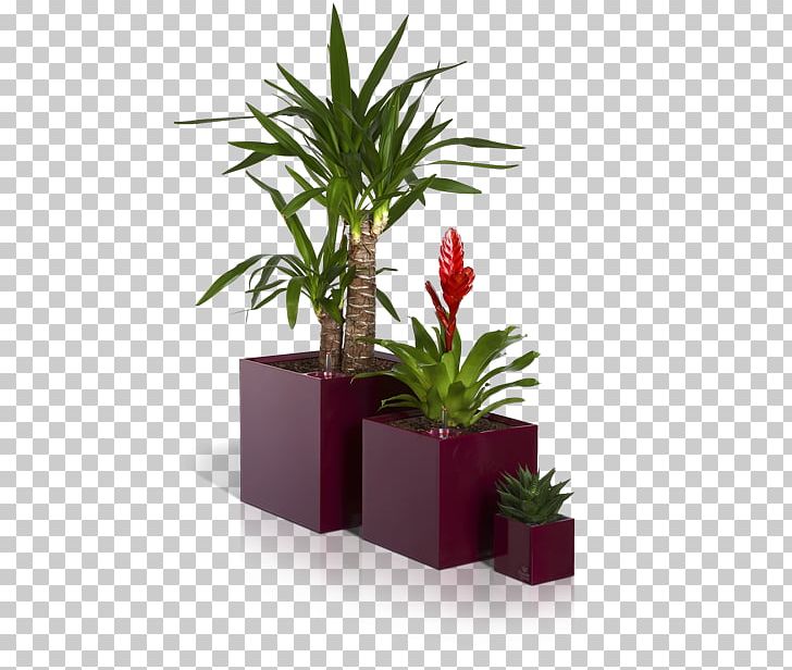 Flowerpot Garden Вазон PNG, Clipart, Arecales, Ceramic, Container, Container Garden, Flower Free PNG Download