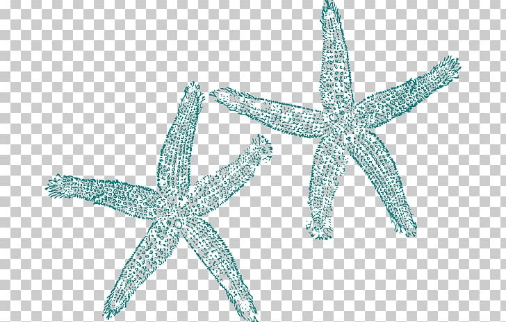 Starfish Turquoise PNG, Clipart, Animals, Body Jewelry, Clip Art, Drawing, Echinoderm Free PNG Download