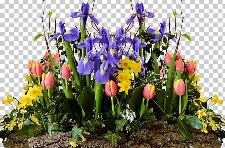 Hos Hai Floral Design PNG, Clipart, Calm, Cut Flowers, Daffodils, Easter, Flora Free PNG Download