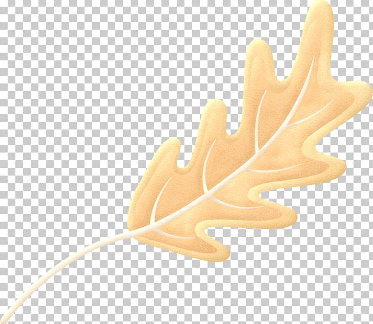 Photography Leaf Scrapbooking PNG, Clipart, Camera, Cartoon, Flower, Friendship, Golden Free PNG Download