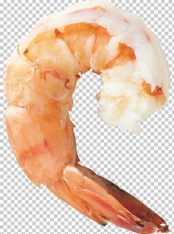 Shrimp And Prawn As Food PNG, Clipart, Animals, Animal Source Foods, Boil, Boiling, Caridean Shrimp Free PNG Download