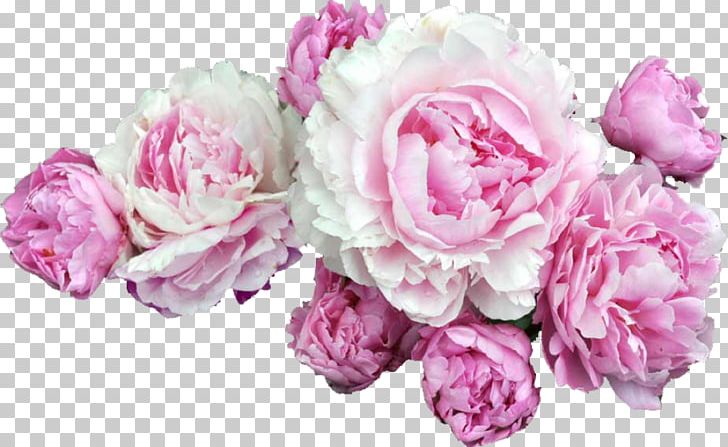 Cut Flowers Peony Floral Design PNG, Clipart, Artificial Flower, Chinese Peony, Crown, Cut Flowers, Floral Design Free PNG Download