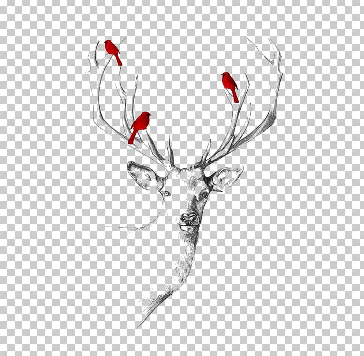 Deer Abziehtattoo Drawing Elk PNG, Clipart, Abziehtattoo, Animal, Animals, Antler, Art Free PNG Download